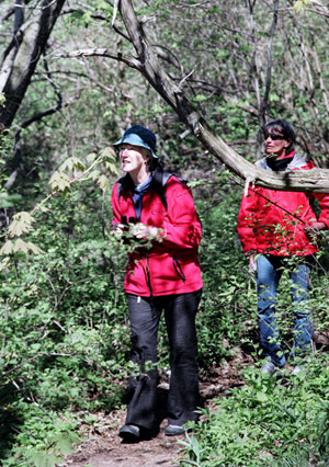 Alison Holmes and Marie-Jeanne Monette walking on forest path