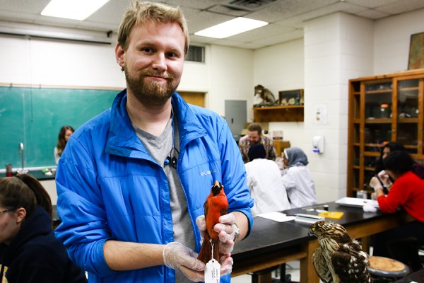 Biology student Aaron Rollins helped prepare museum skins in professor Dan Mennill’s ornithology lab this week.