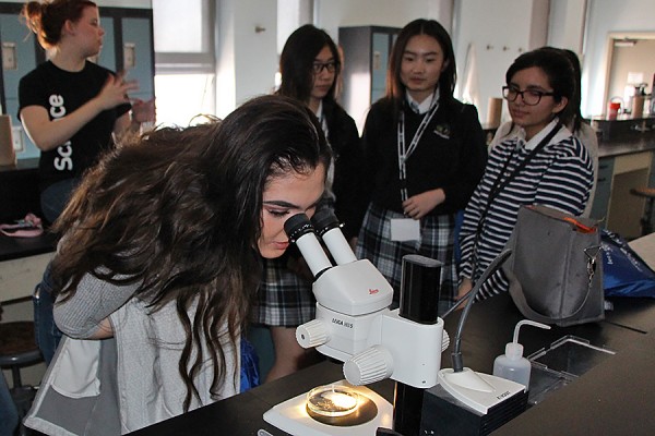 Adriana Uros peers through a microscope