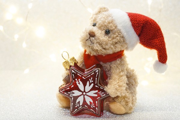 stuffed bear wearing Santa hat