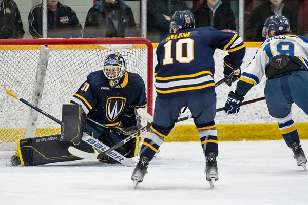 men’s hockey players defeat Lakehead