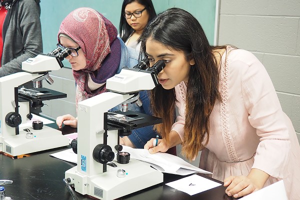 First-year biology students look into microscopes
