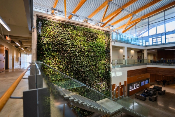 living wall in the Centre for Engineering Innovation