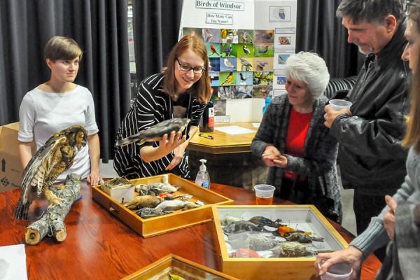 Members of the University of Windsor Avian Taxidermy Club showcase their specimens
