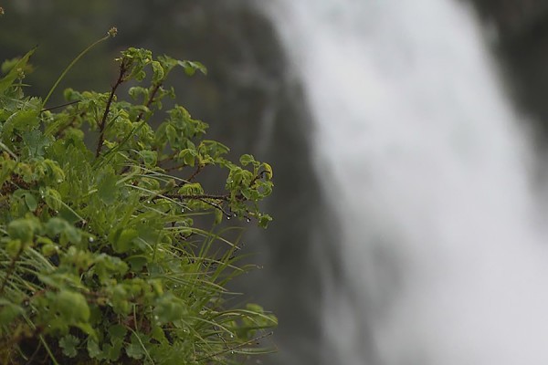 waterfall image