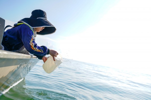 Eight research vessels from the University of Windsor participated in the Harmful Algal Blooms Grab on Wednesday, Aug. 7, 2019. Scientists from the United States and Canada collected water samples to study the environmental stimuli responsible for toxic p