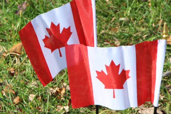 Canadian flags in ground