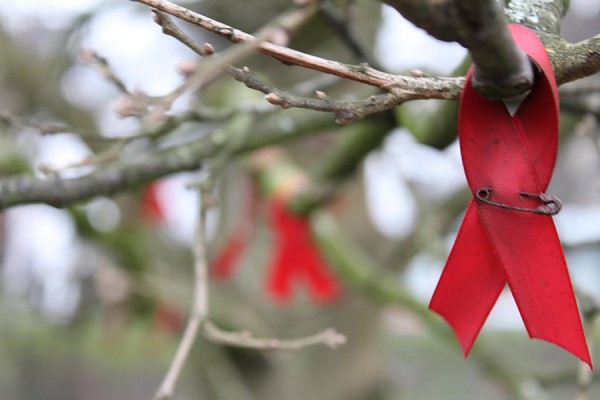 red ribbon pinned to tree
