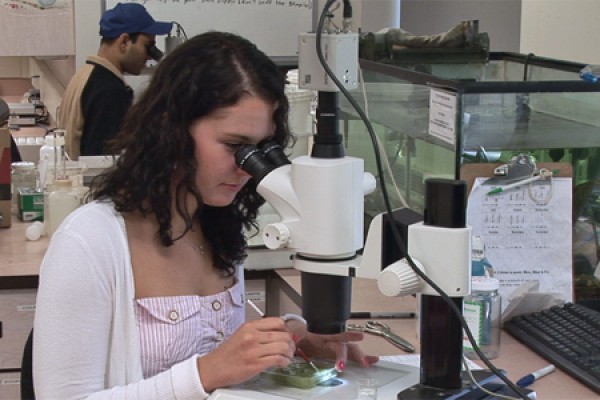 young woman looking into microscope