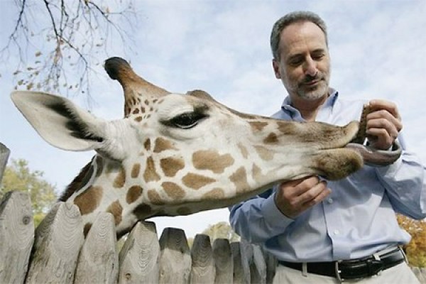 Detroit Zoo CEO Ron Kagan feeding a giraffe.