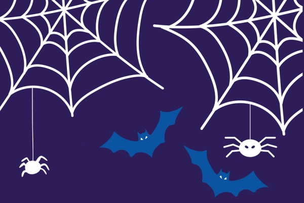 cartoon bats and spider webs
