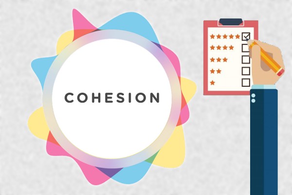 logo: the Cohesion Study
