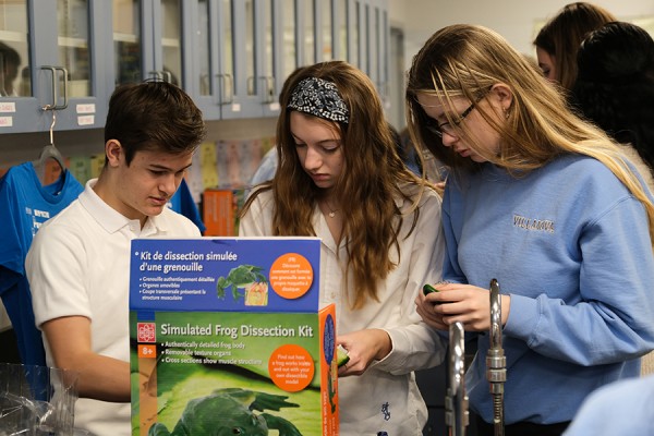 Grade 10 students at LaSalle’s Villanova high school look over a simulated frog dissection kit.
