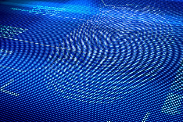 digitized fingerprint