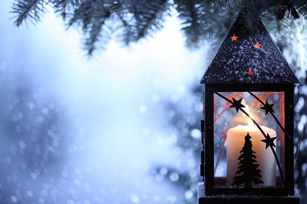 snow-dusted lantern hanging in pine tree
