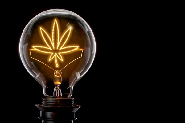 lightbulb with marijuana leaf filament