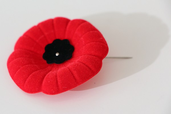 poppy pin