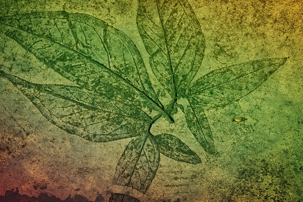 monoprint of leaves