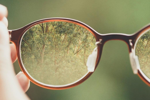 a pair of spectacles