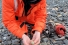 Andrew Barnas examining eggs in eider duck nest