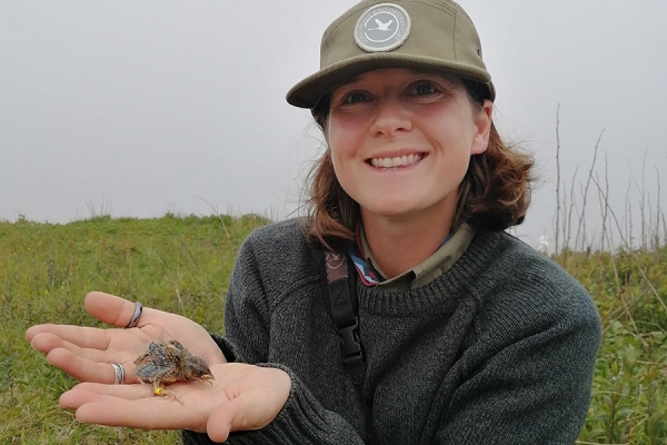 PhD student Sarah Dobney holding savannah sparror chick