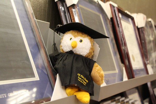 grad owl plush toy seated with frames