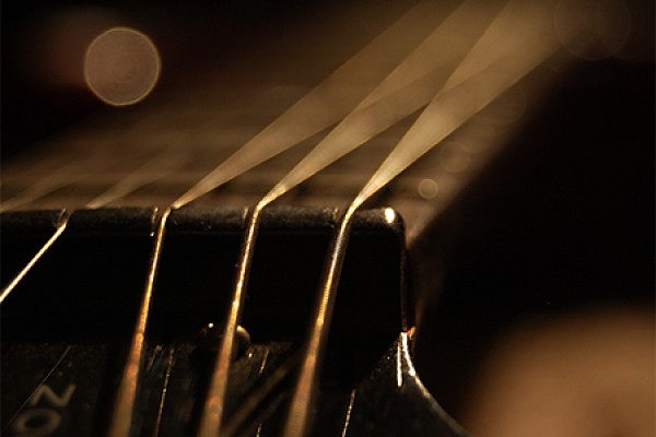 close-up of guitar