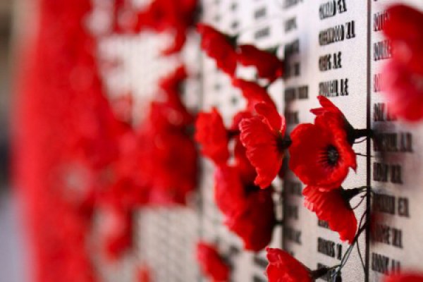 cenotaph covered with poppies