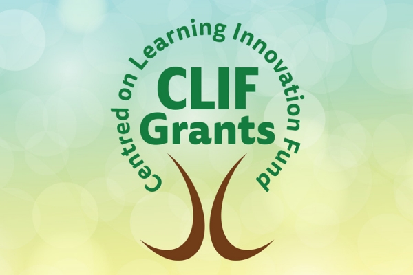 logo: Centred on Learning Innovation Fund