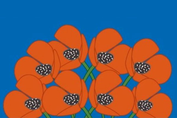poppies on blue background