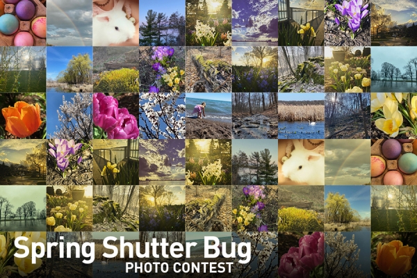 collage of spring photos