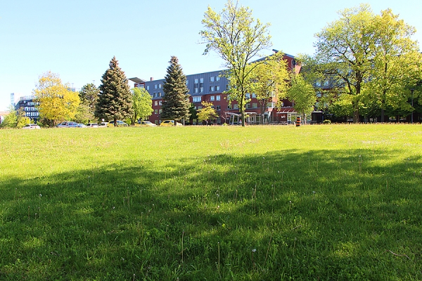 expanse of space with Alumni Hall in background