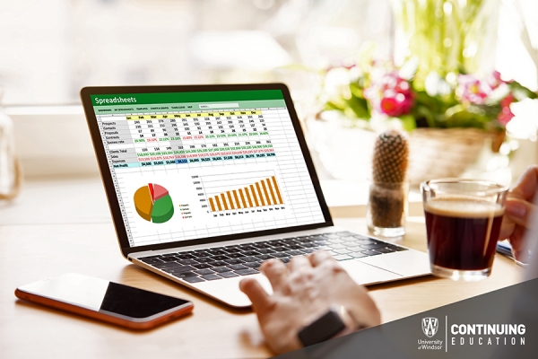 laptop computer displaying Excel screen