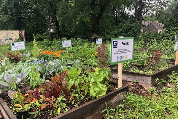 Campus Community Garden