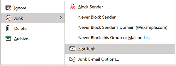 screen grab indicating location of "Not Junk" command