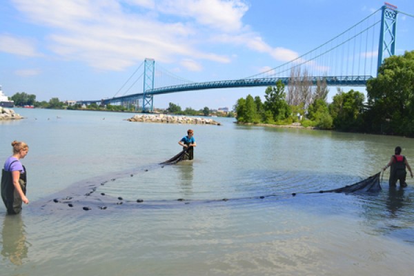 Students gather samples from the Detroit River along the shore west of the Ambassador Bridge.