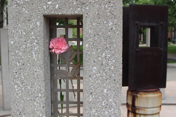 pink carnation in Memorial of Hope