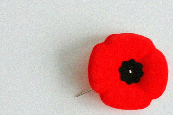 poppy pin