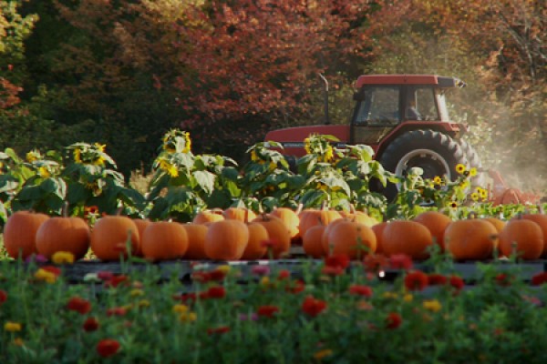 tractor in field