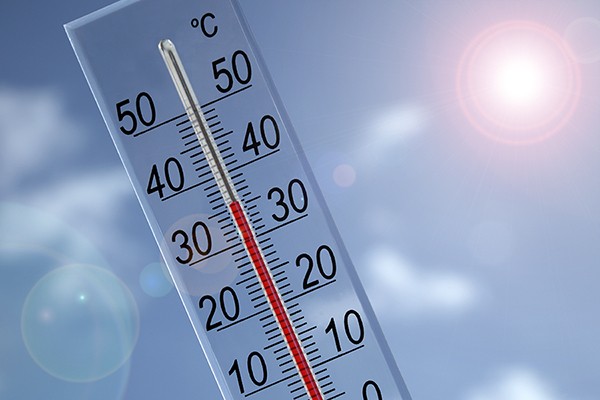 Health newsletter offers tips to beat the heat | DailyNews