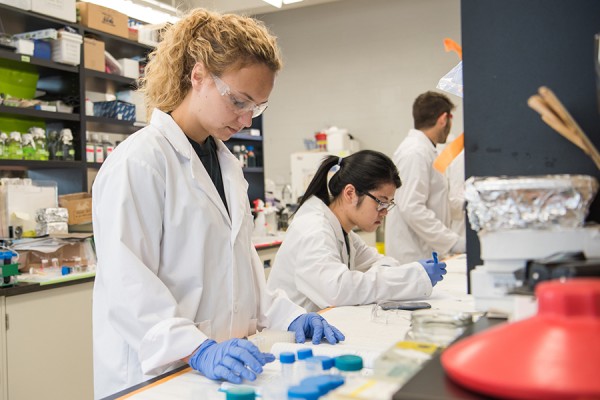 students working in lab