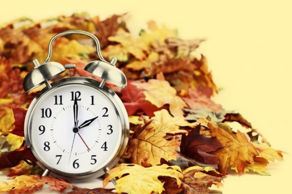 Clock set among colourful fallen leaves