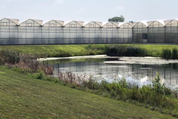 Stormwater retention pond outside a greenhouse