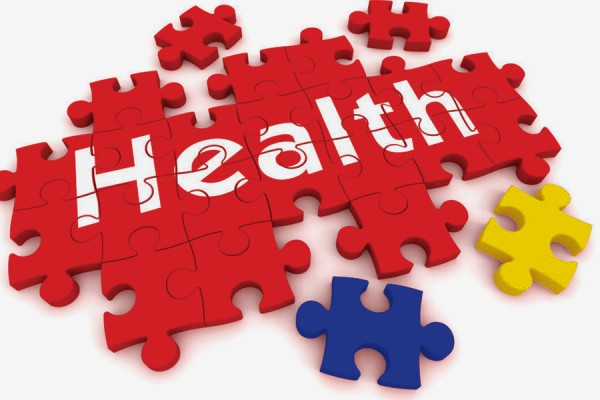 Blue and Gold pieces in puzzles labelled &quot;Health&quot;