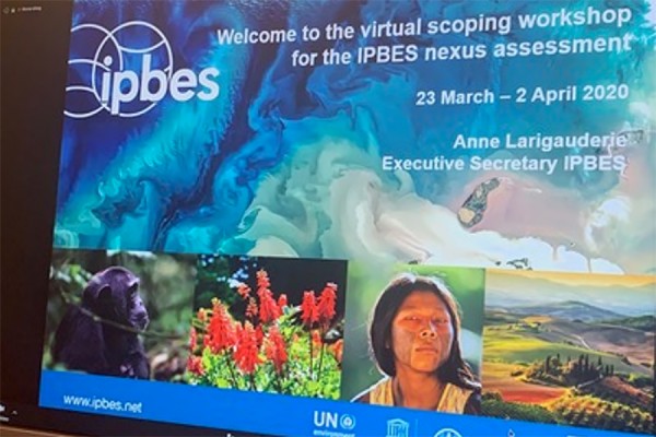 Catherine Febria’s workstation as she participates in the nine-day online IPBES panel.