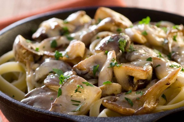 Mushroom stroganoff