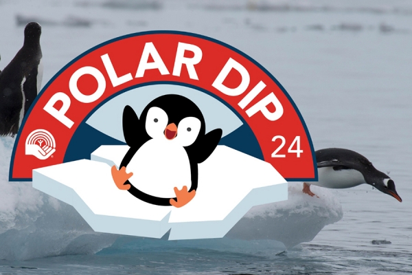 cartoon penguin under banner reading Polar Dip