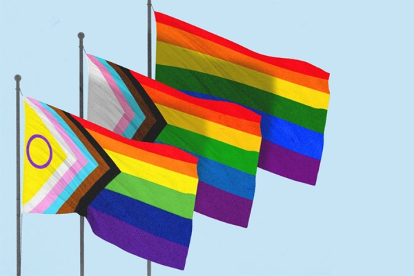 variations on Pride flag, with Progress flag in foreground