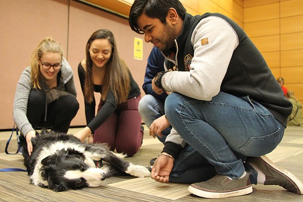 students crowd around dog