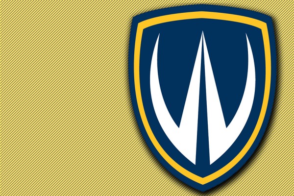 Lancer shield